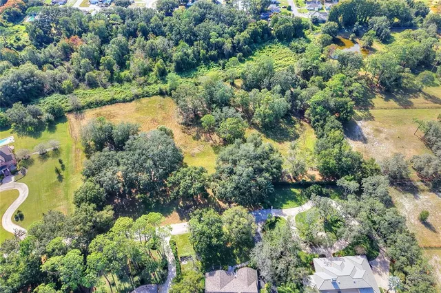 a view of a garden with a lake