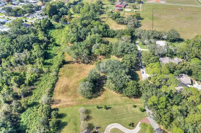 a view of a garden with plants