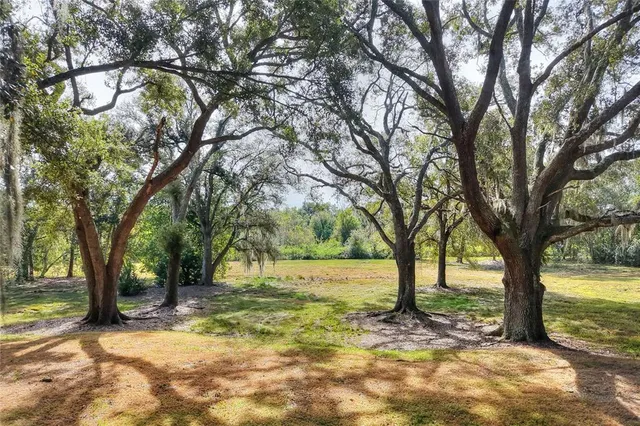 a view of a yard with trees