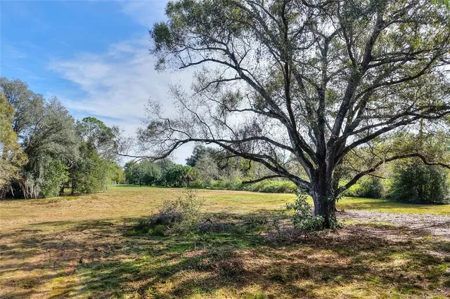a view of outdoor space with trees