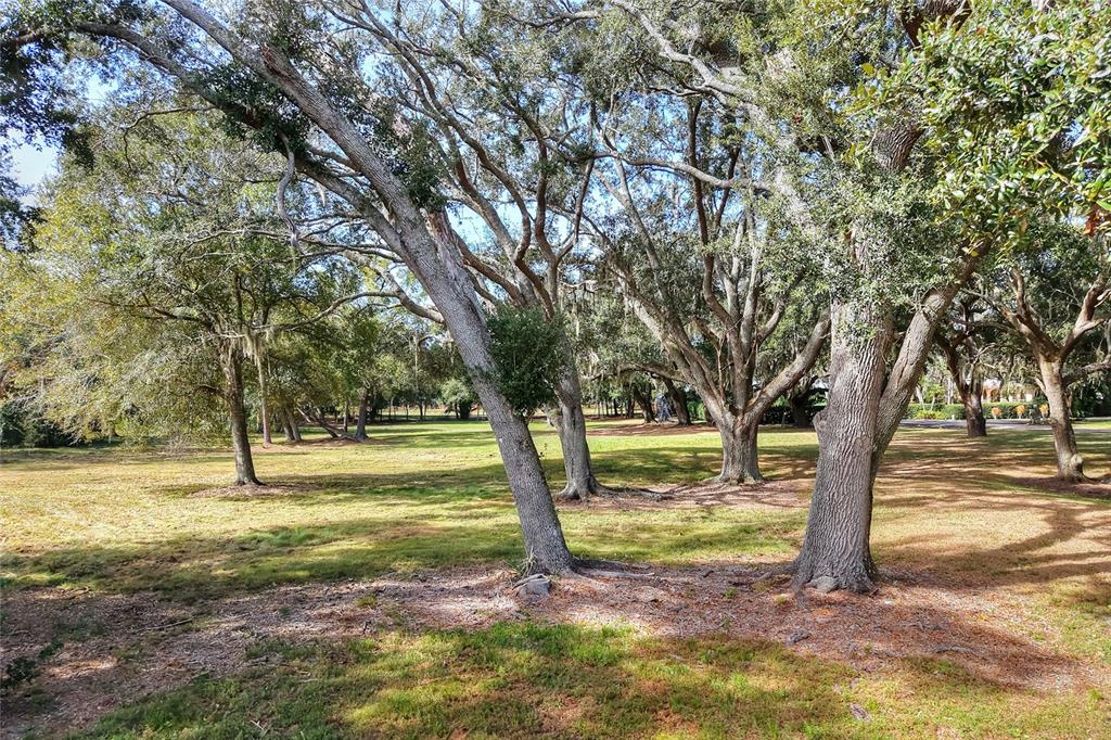 Island Way Winter Haven, FL 33884 - Photo 6 of 31