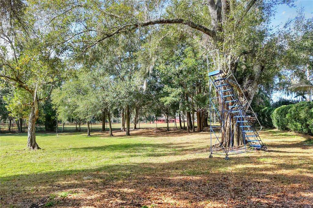 Island Way Winter Haven, FL 33884 - Photo 7 of 31