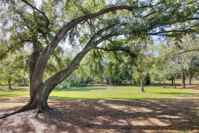 a view of a golf course
