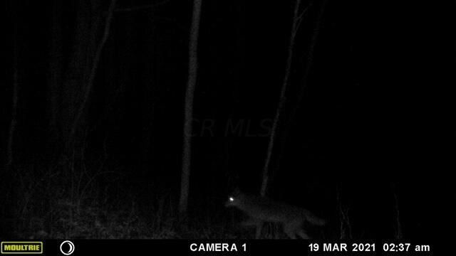 57640 St John Road Quaker City, OH 43773 - Photo 16 of 51 Cuyote-2