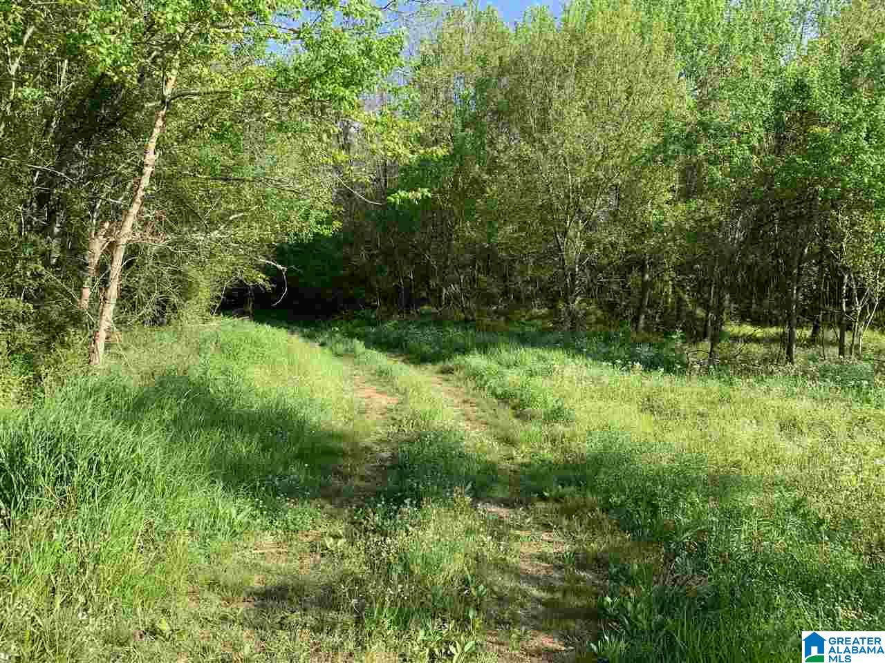 0 Highway 11 Springville Al, Unit 30 Springville, AL 35146 - Photo 3 of 6