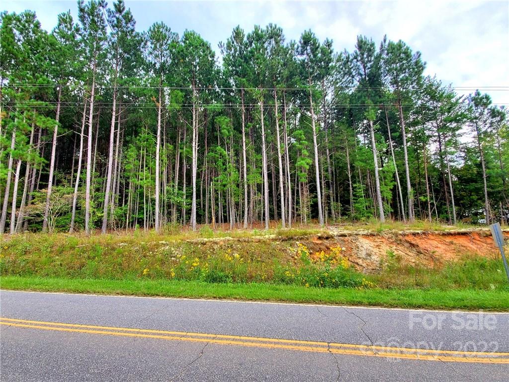 0 Grassy Knob Road Mill Spring, NC 28756 - Photo 6 of 28