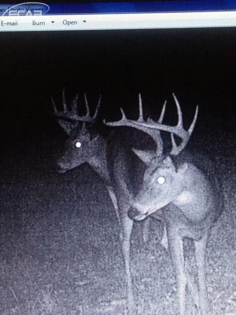 0 Nettney Capac, MI 48014 - Photo 17 of 32