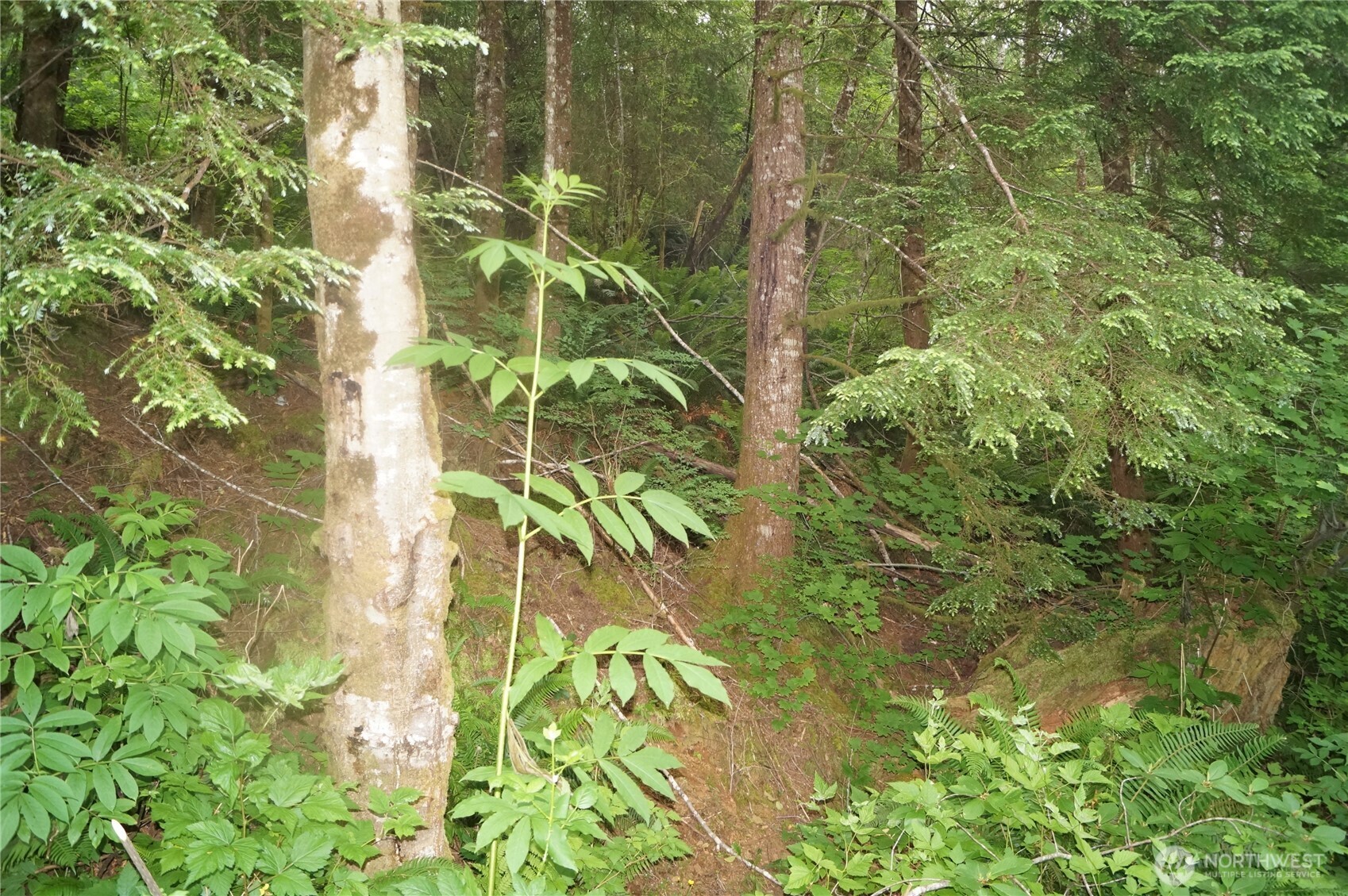 -off Of Panhandle Road Hoquiam, WA 98550 - Photo 9 of 13 Gallery Image 9