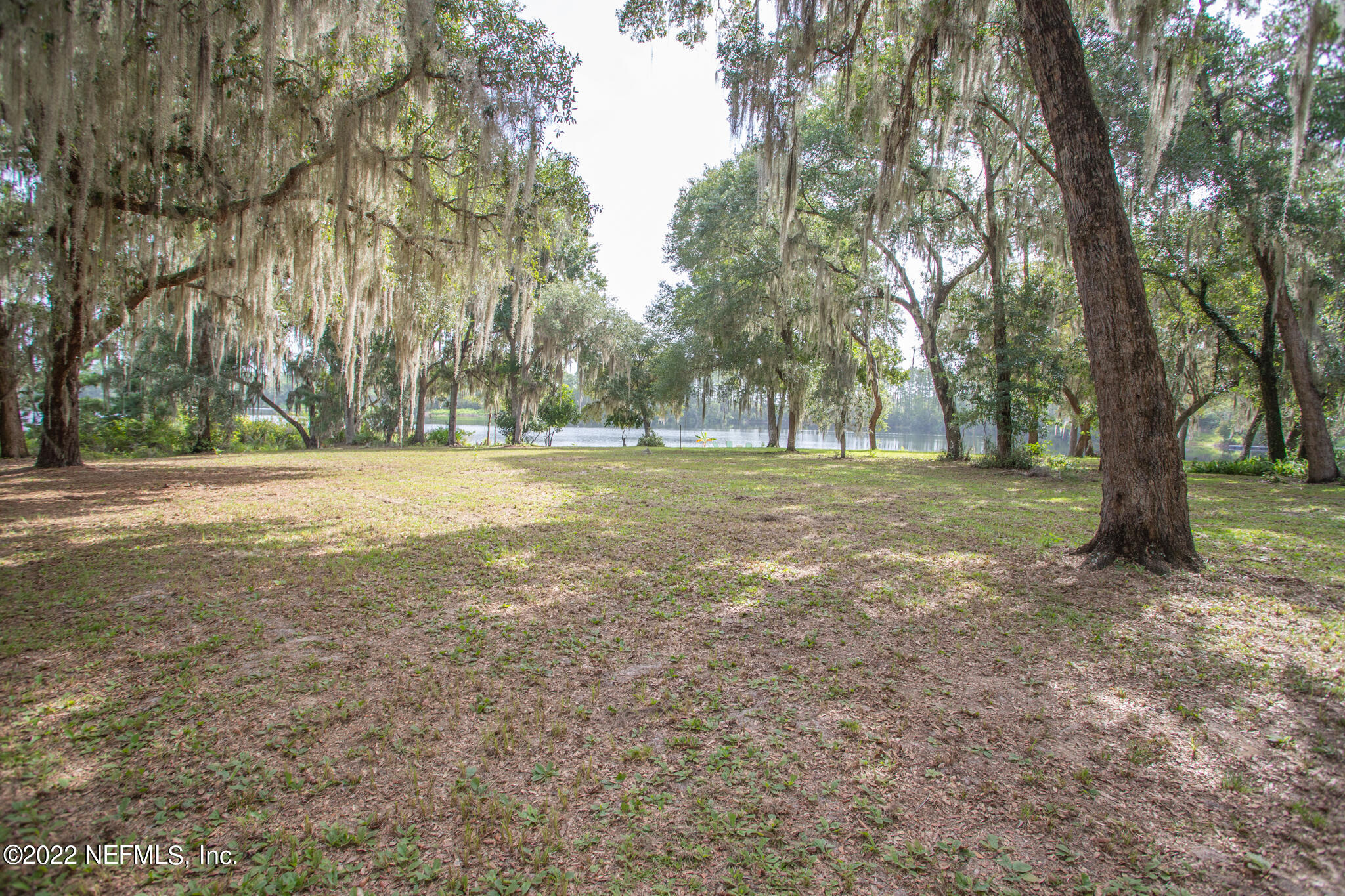 110 Darkwater Lake Road Hawthorne, FL 32640 - Photo 15 of 34 IMG_2014