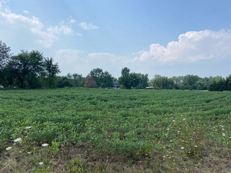 12550 West Baker Road Manhattan, IL 60442 - Photo 1 of 1 a view of a city