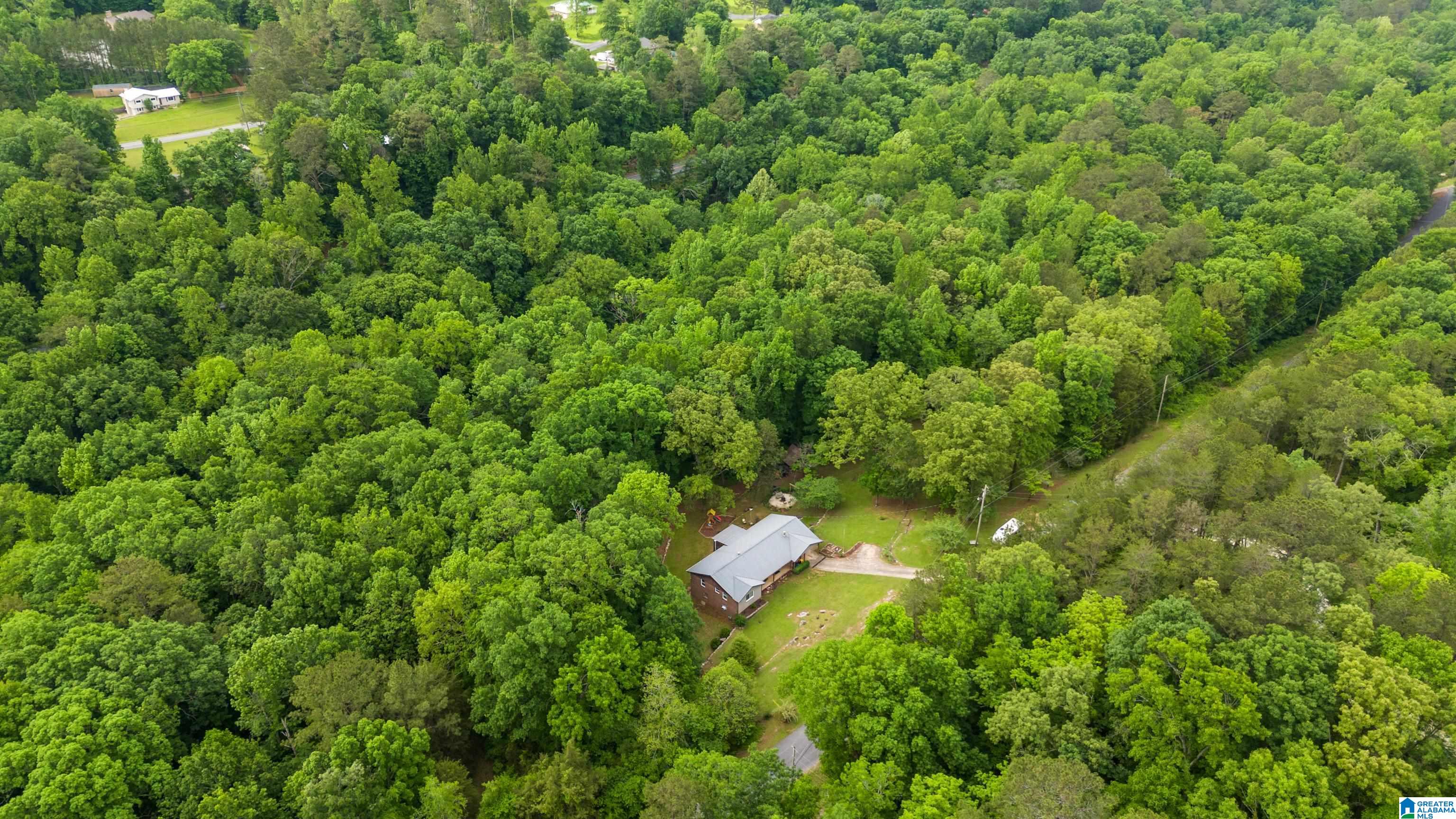 732 Mill Creek Road Warrior, AL 35180 - Photo 61 of 65