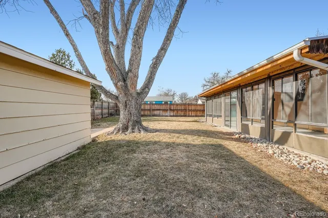 a view of backyard with large trees and wooden fence