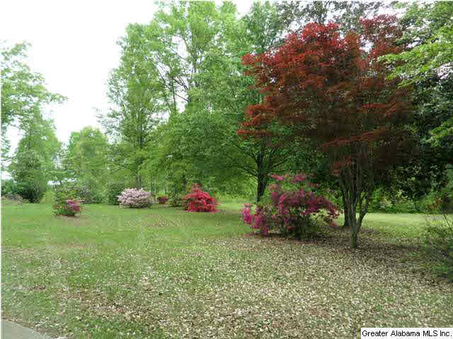 3057 Mayfield Road Warrior, AL 35180 - Photo 6 of 12