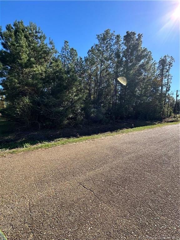 0 Stillwood Road Deridder, LA 70634 - Photo 2 of 4