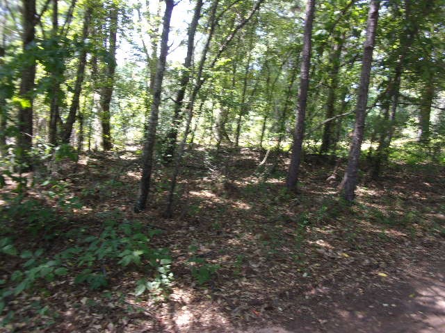 310 Hood Road Powdersville, SC 29611 - Photo 2 of 7 Gallery Image 2