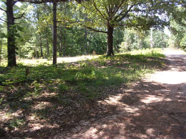 310 Hood Road Powdersville, SC 29611 - Photo 4 of 7 Gallery Image 4