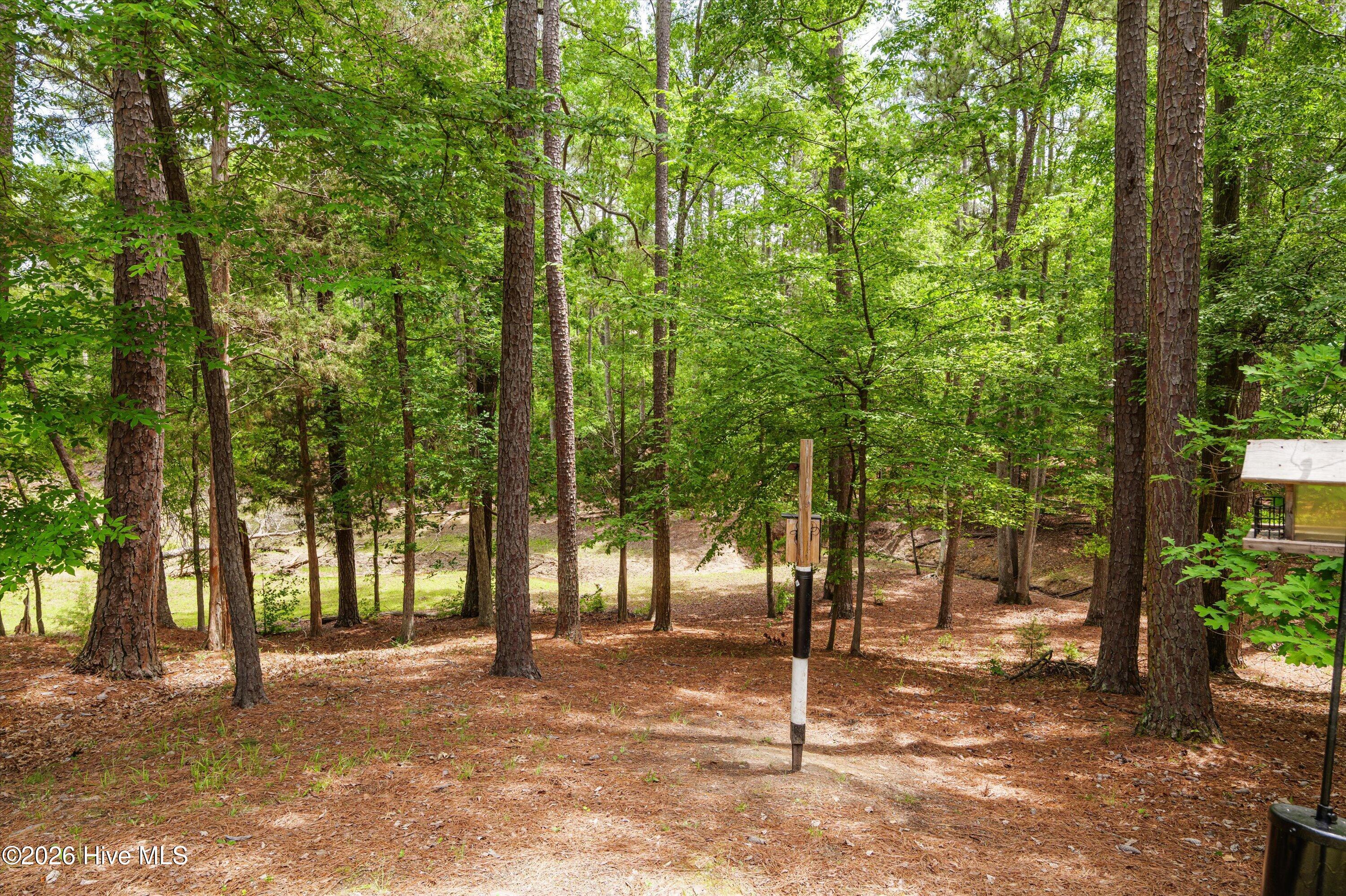 125 Lake Ridge Drive McCormick, SC 29835 - Photo 60 of 84 59-P2099216