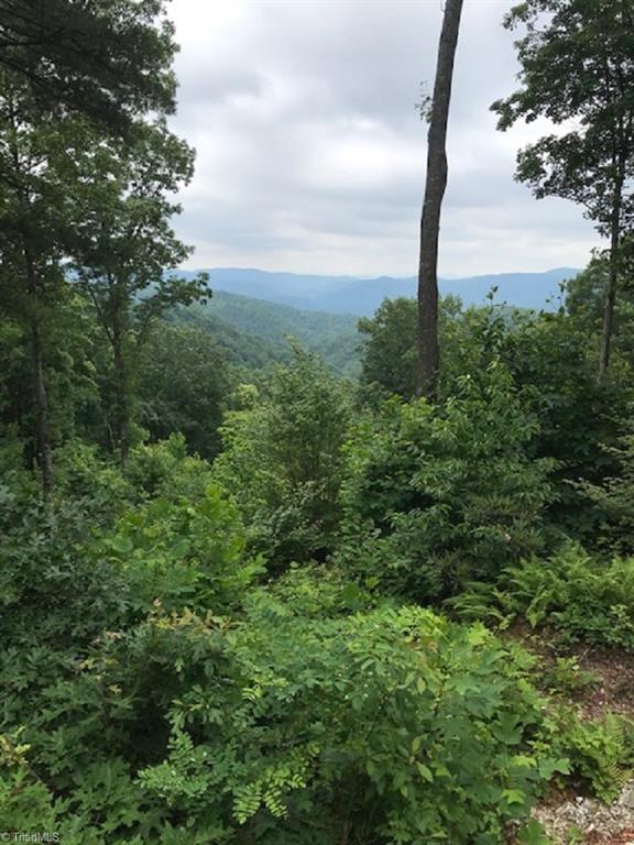 Hp25 Hp25 Lost Ridge Road Lenoir, NC 28645 - Photo 1 of 5 Gallery Image 1