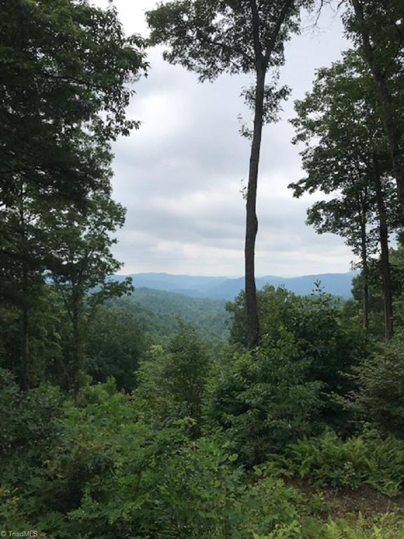 Hp25 Hp25 Lost Ridge Road Lenoir, NC 28645 - Photo 2 of 5 Gallery Image 2