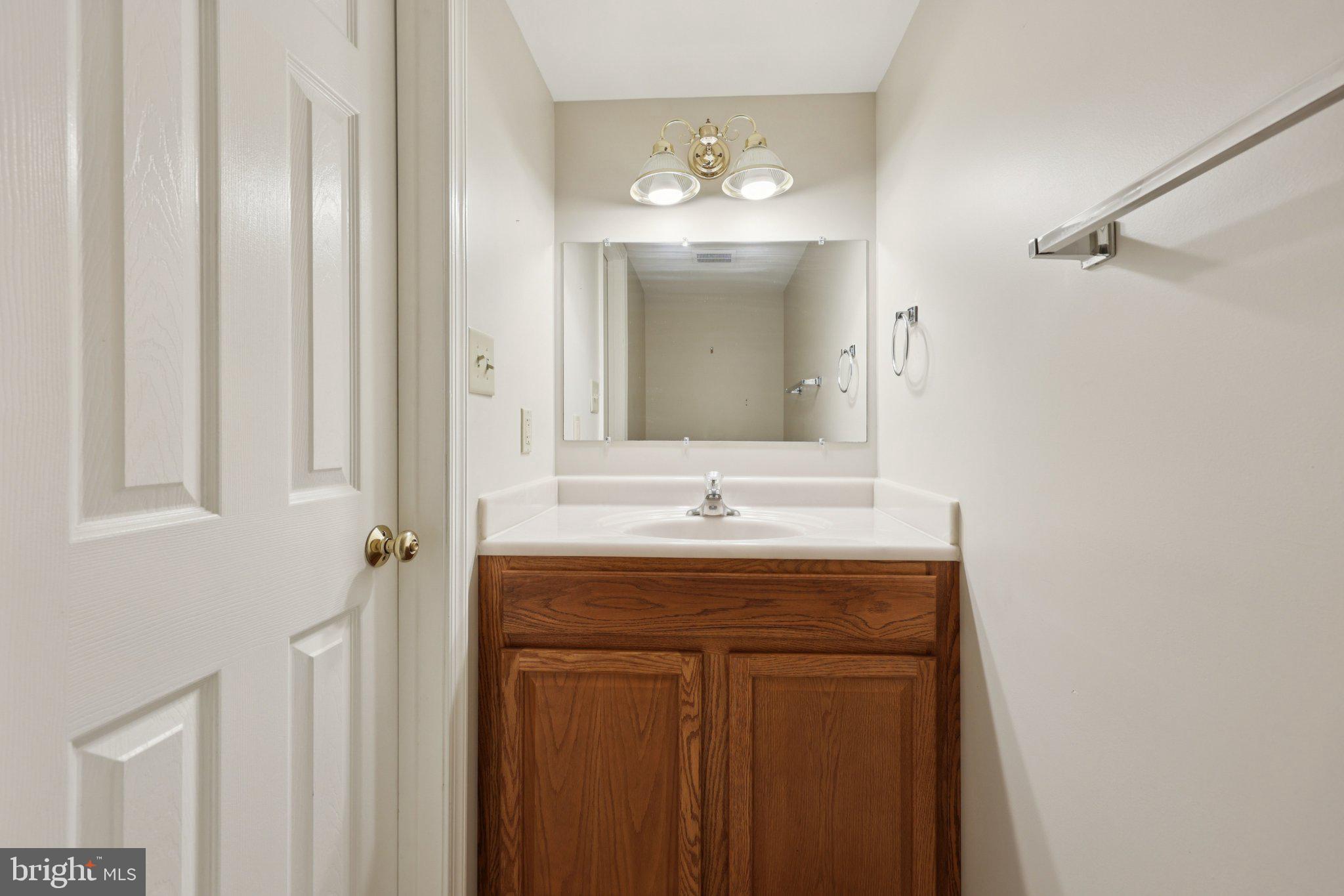 13445 Blackwells Mill Road Goldvein, VA 22720 - Photo 52 of 95 a bathroom with a sink and a mirror