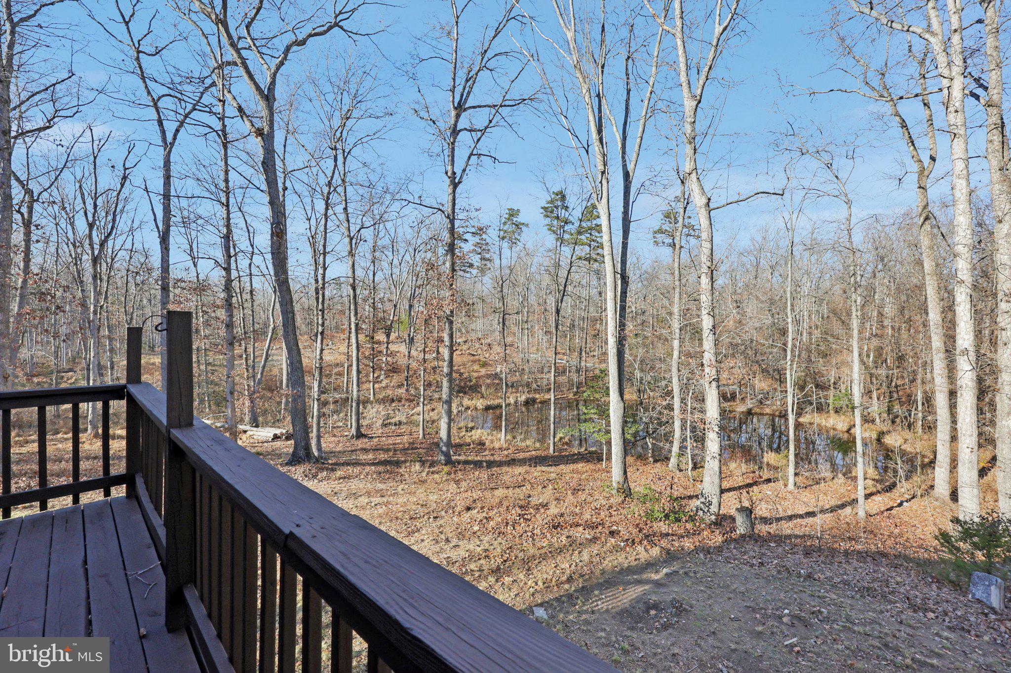 13445 Blackwells Mill Road Goldvein, VA 22720 - Photo 62 of 95