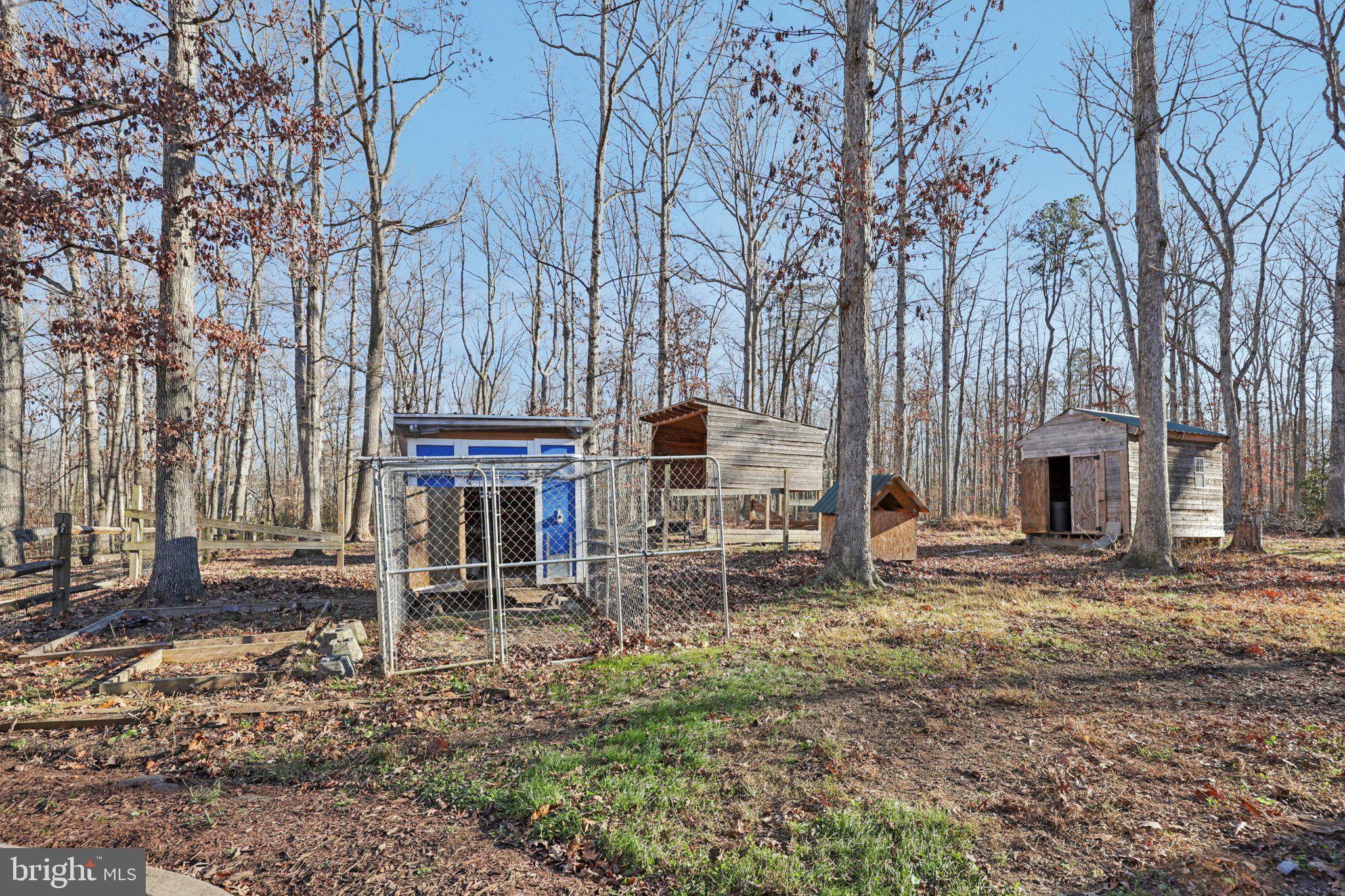 13445 Blackwells Mill Road Goldvein, VA 22720 - Photo 68 of 95 Bring your chickens!