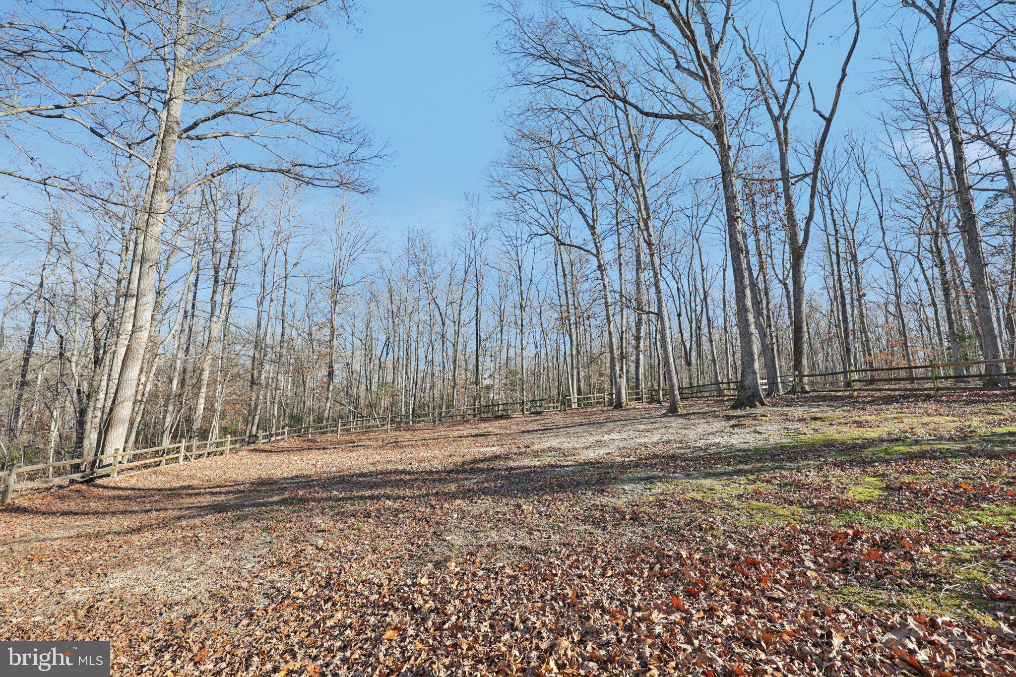 13445 Blackwells Mill Road Goldvein, VA 22720 - Photo 70 of 95 a view of a backyard with large trees