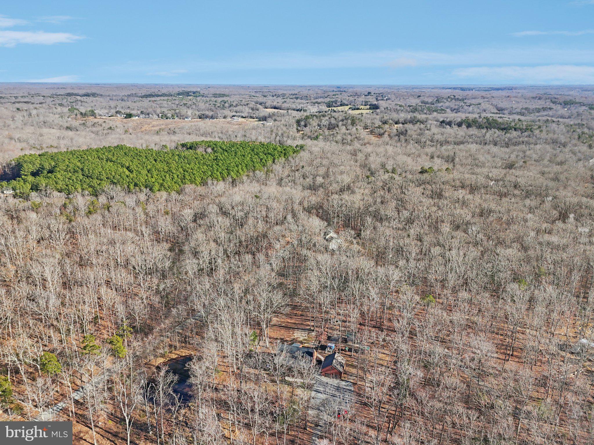 13445 Blackwells Mill Road Goldvein, VA 22720 - Photo 80 of 95