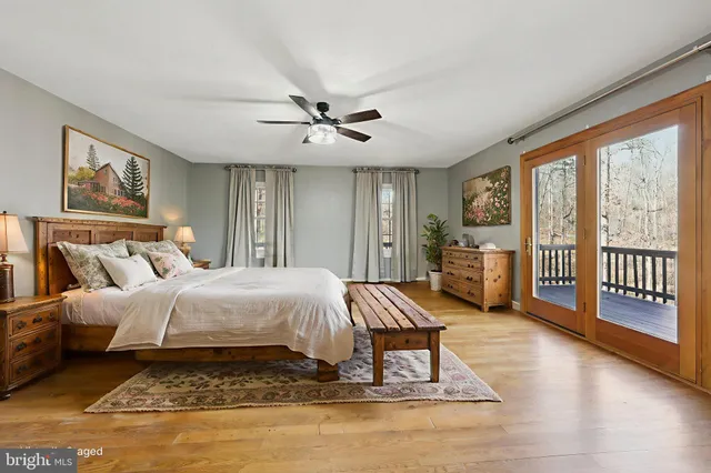 a living room with furniture potted plant and a window