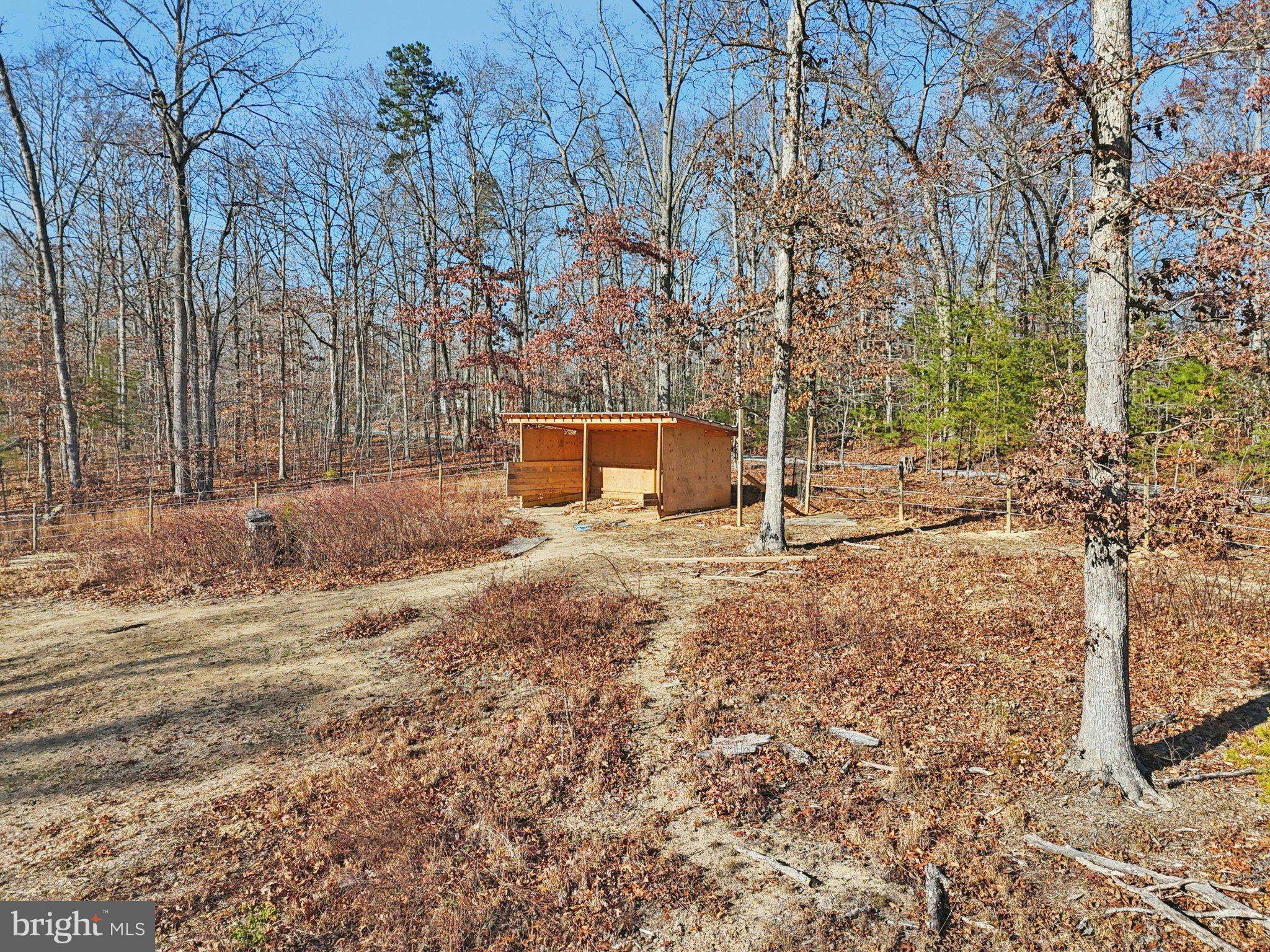 13445 Blackwells Mill Road Goldvein, VA 22720 - Photo 86 of 95 a backyard of a house with lots of green space