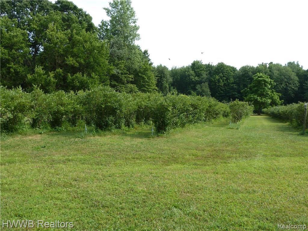 38093 Judd Road Belleville, MI 48111 - Photo 31 of 43