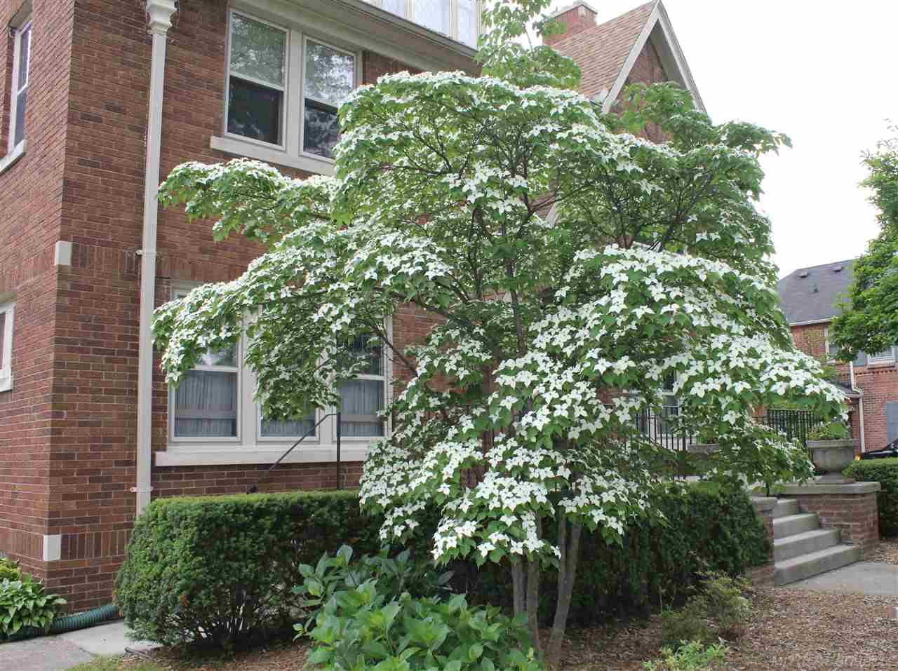 1242 Devonshire Road Grosse Pointe Park, MI 48230 - Photo 70 of 70