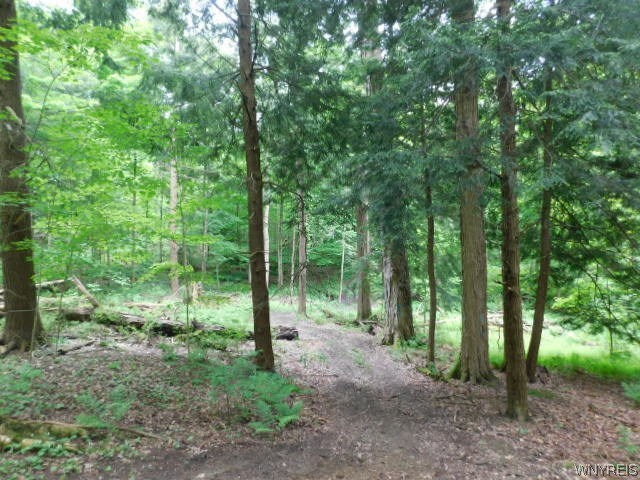 0 Lone Road Gowanda, NY 14070 - Photo 1 of 1