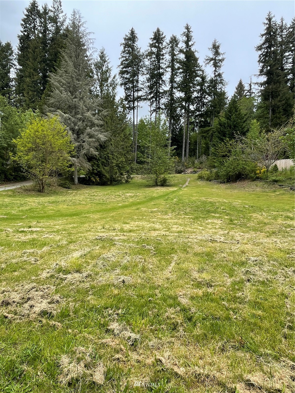 244 Northeast Riverside Place Belfair, WA 98528 - Photo 9 of 18 Gallery Image 9
