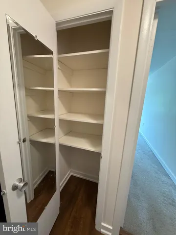 a view of walk in closet with empty racks