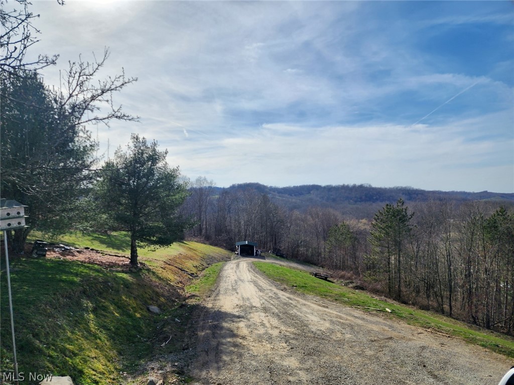 87575 Reed Road Uhrichsville, OH 44683 - Photo 10 of 11 View of road