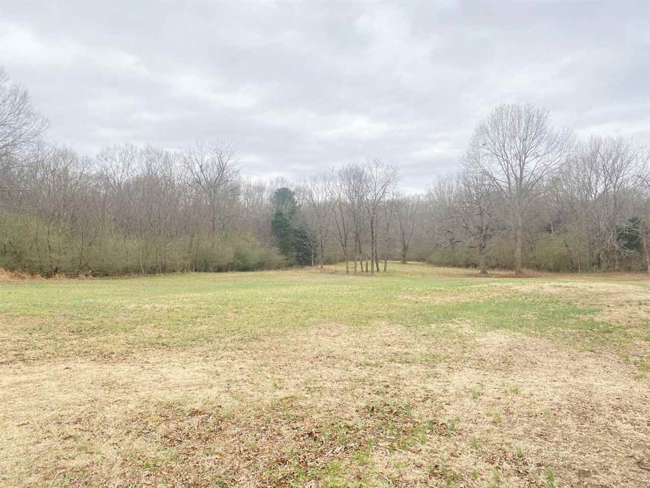 7032 Pope Water Valley Road Pope, MS 38658 - Photo 3 of 50 Photo 3