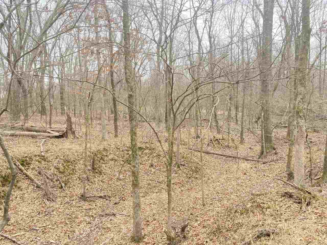 7032 Pope Water Valley Road Pope, MS 38658 - Photo 35 of 50 Photo 35