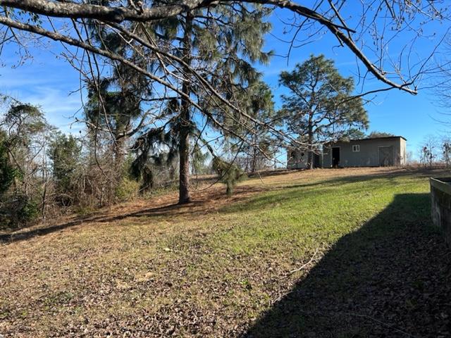 1220 Pineknot Road Box Springs, GA 31801 - Photo 14 of 15 Gallery Image 14