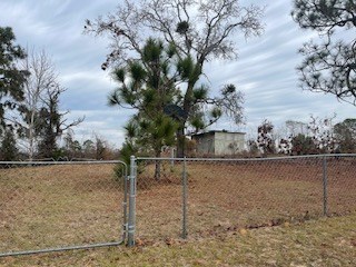 1220 Pineknot Road Box Springs, GA 31801 - Photo 4 of 15 Gallery Image 4