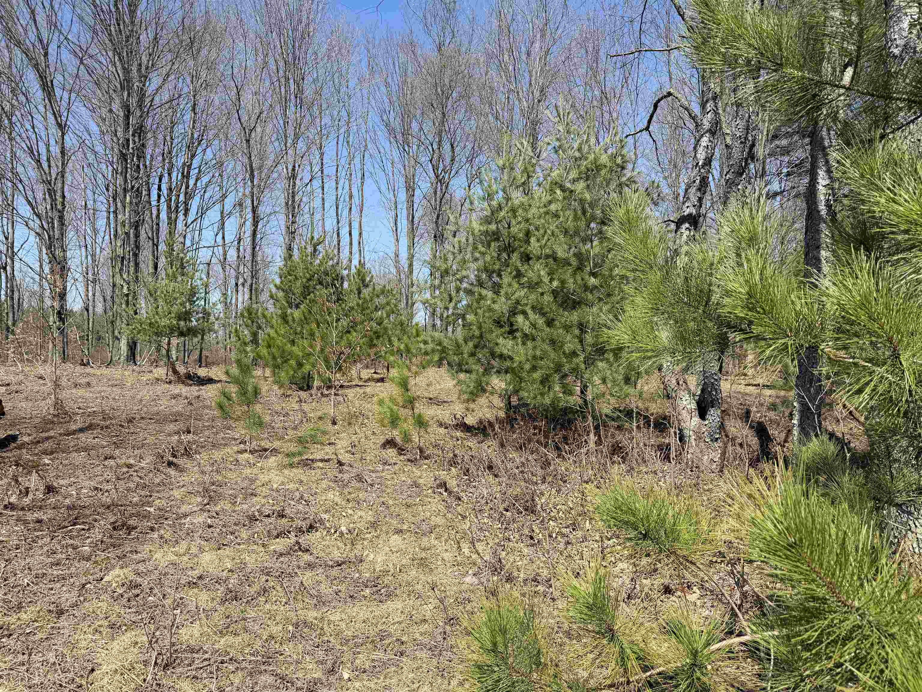0 Landis Road Thompsonville, MI 49683 - Photo 1 of 26