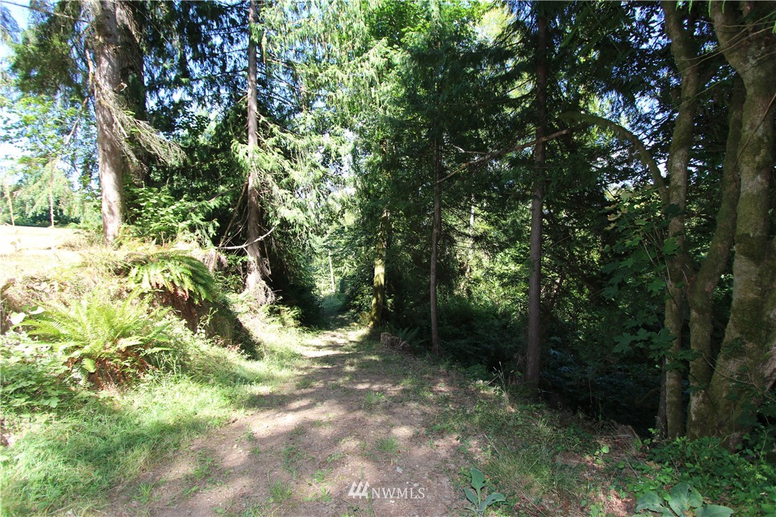 13229 Burn Road Arlington, WA 98223 - Photo 21 of 25 Gallery Image 21