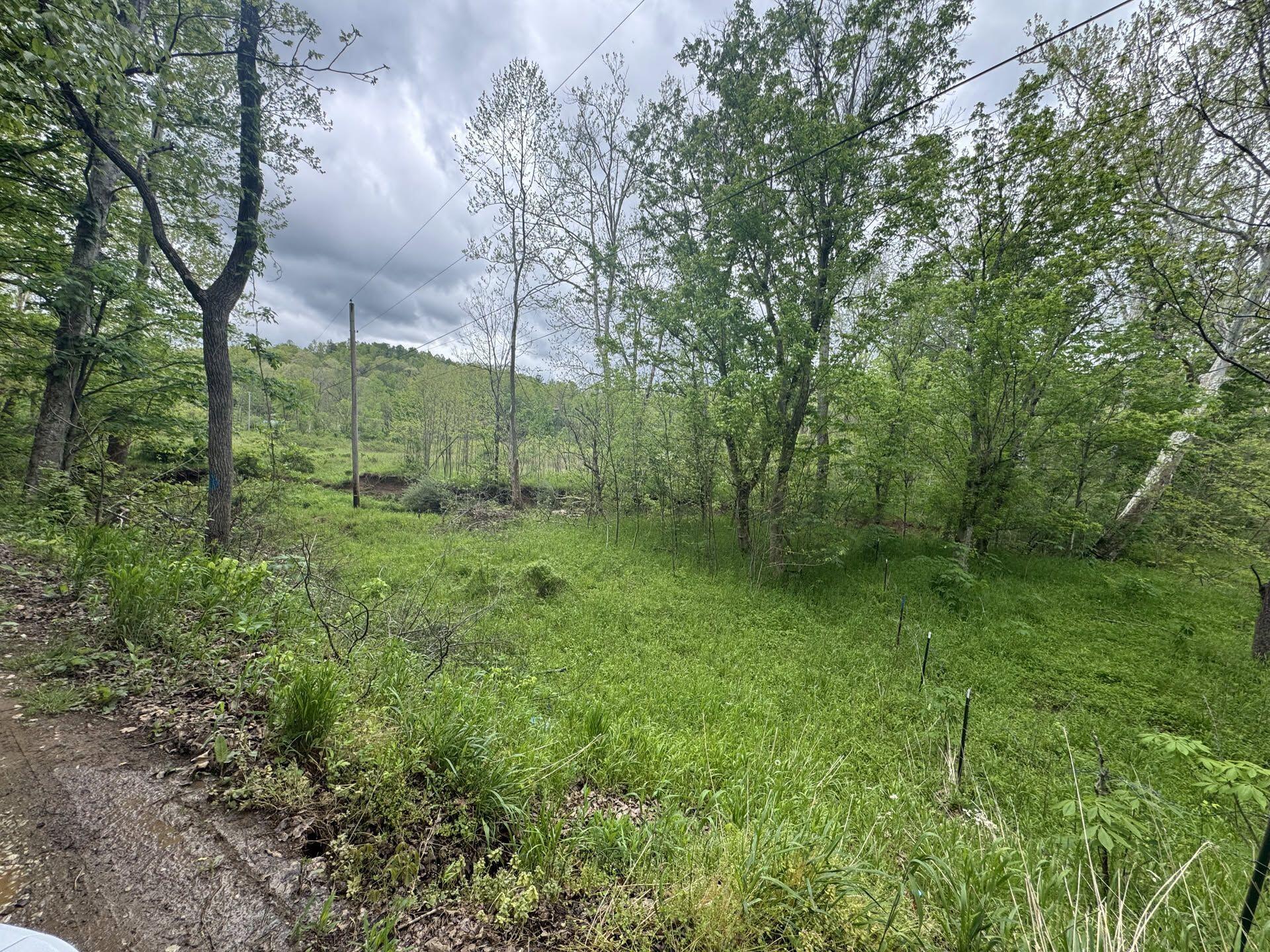 8669 Waterloo-Smith Church Road Leon, WV 25123 - Photo 23 of 28 Gallery Image 23