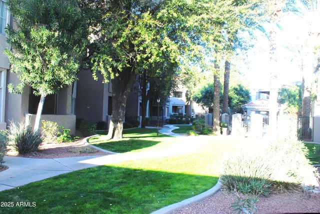 a view of a backyard with table and chairs and potted plants and large trees