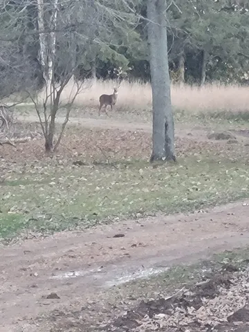 $485,000 | E5245 Haire Road, Weyauwega, WI 54983