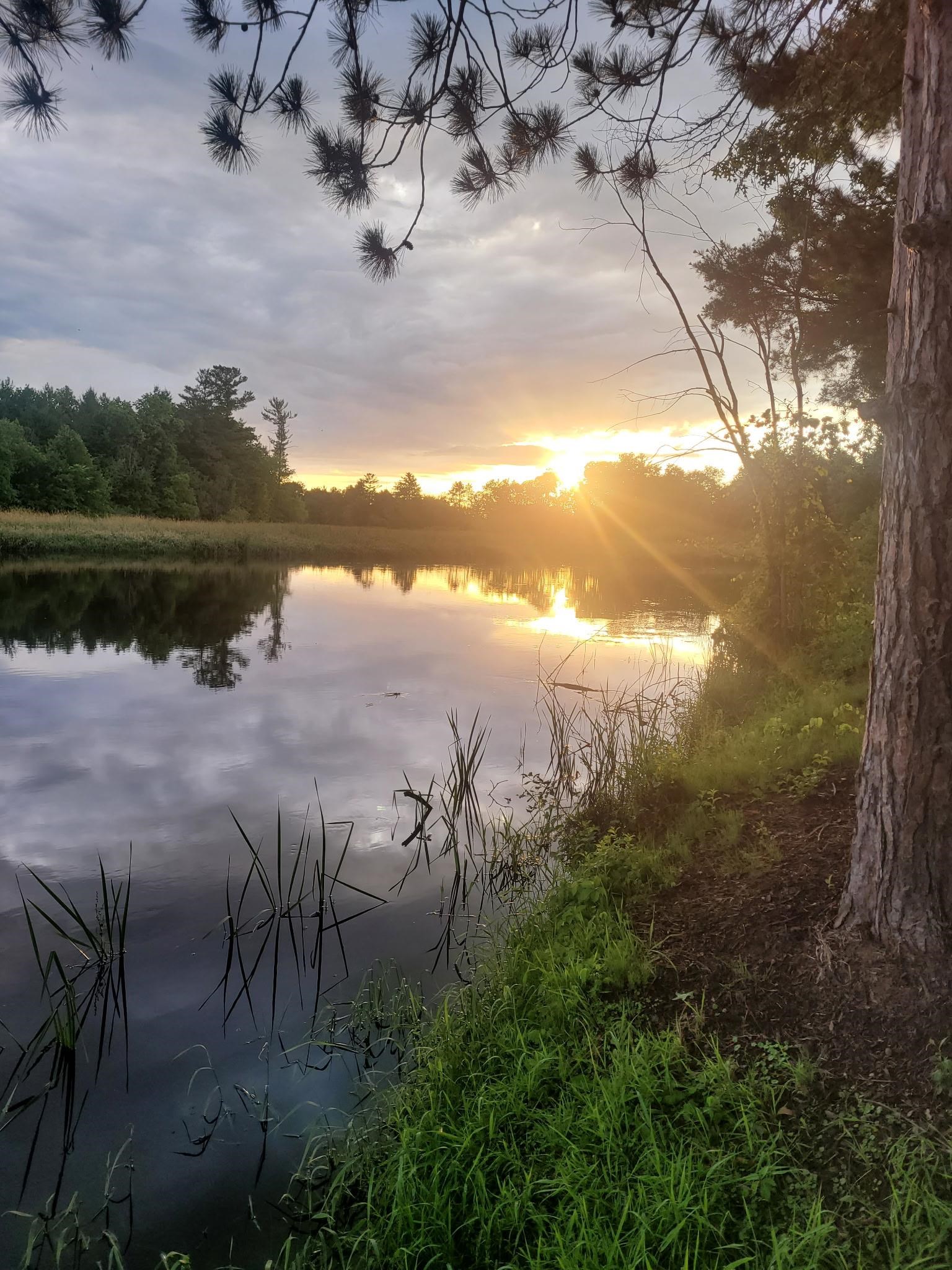 E5245 Haire Road Weyauwega, WI 54983 - Photo 37 of 41