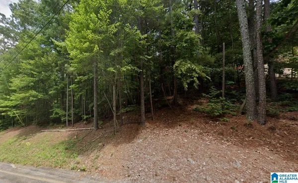 $19,900 | 0 Greenbriar Road, Unit 5, Gadsden, AL 35901