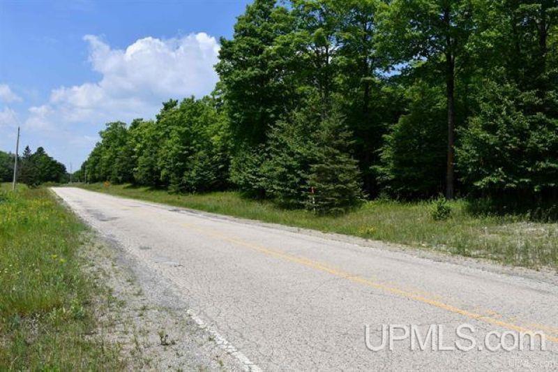 Lot#25 Fordville Road Foster City, MI 49834 - Photo 10 of 27