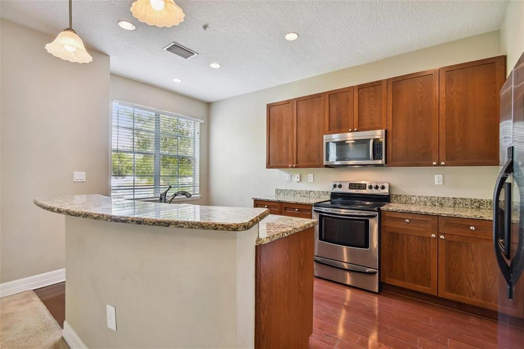 4503 Bay Spring Court Tampa, FL 33611 - Photo 8 of 45