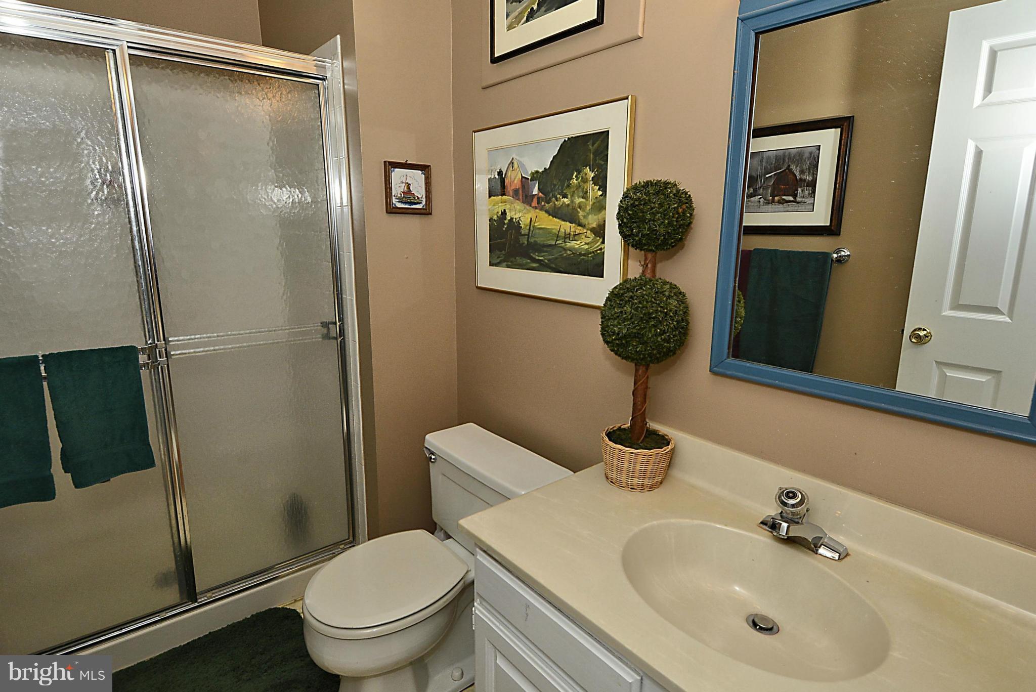 749 Ridge Drive McLean, VA 22101 - Photo 23 of 28 Lower Level Full Bath